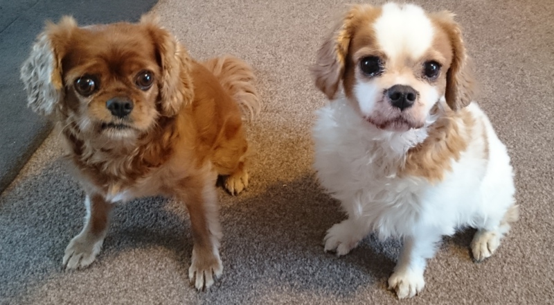 Lottie & Annie